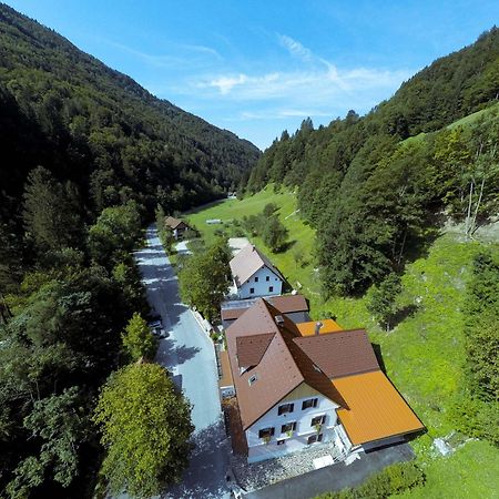 Guest House Gostisce Gacnk V Logu Церкно Экстерьер фото